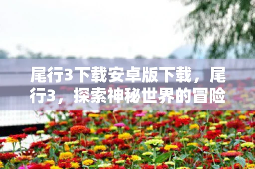 尾行3下载安卓版下载，尾行3，探索神秘世界的冒险之旅