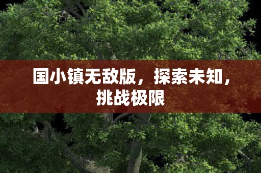 国小镇无敌版，探索未知，挑战极限