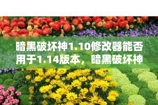 暗黑破坏神1.10修改器能否用于1.14版本，暗黑破坏神1.10修改器，解锁无限可能的秘密武器