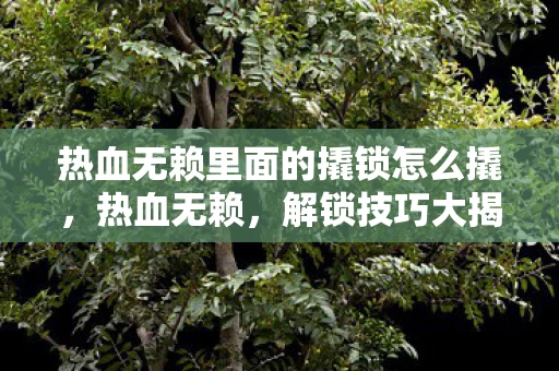 热血无赖里面的撬锁怎么撬，热血无赖，解锁技巧大揭秘