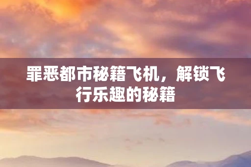 罪恶都市秘籍飞机，解锁飞行乐趣的秘籍