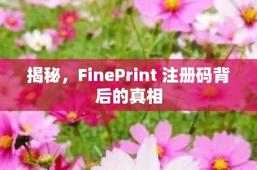 揭秘，FinePrint 注册码背后的真相