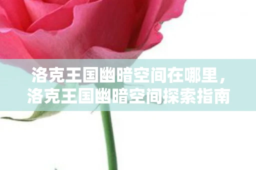 洛克王国幽暗空间在哪里，洛克王国幽暗空间探索指南，神秘之地的位置与揭秘