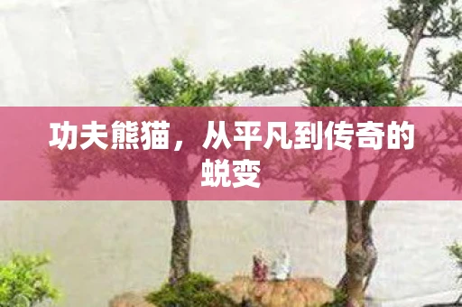 功夫熊猫，从平凡到传奇的蜕变