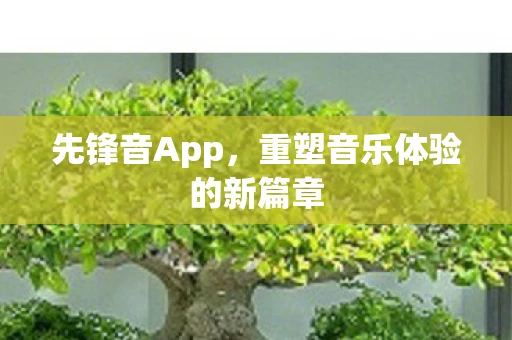 先锋音App，重塑音乐体验的新篇章