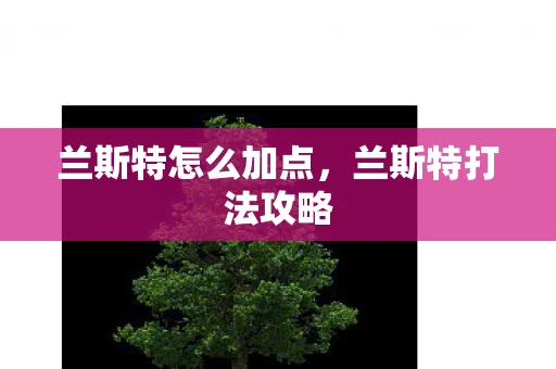兰斯特怎么加点，兰斯特打法攻略