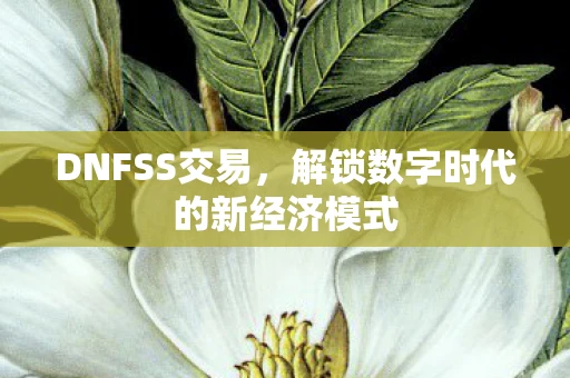 DNFSS交易，解锁数字时代的新经济模式