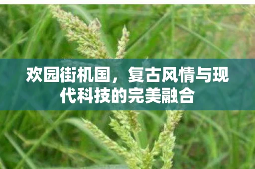 欢园街机国，复古风情与现代科技的完美融合