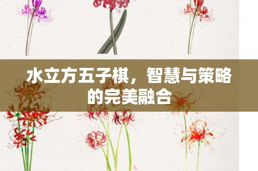 水立方五子棋，智慧与策略的完美融合