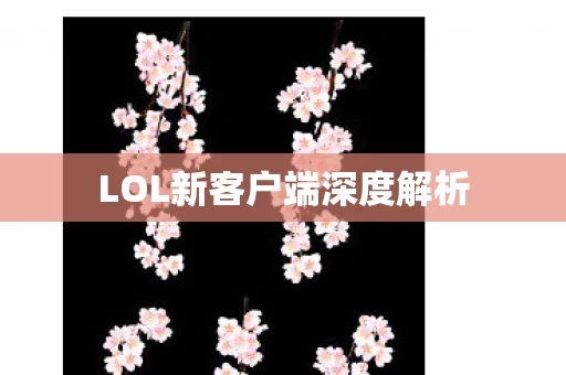 LOL新客户端深度解析图片