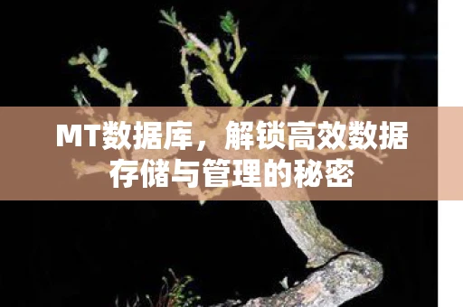 MT数据库，解锁高效数据存储与管理的秘密
