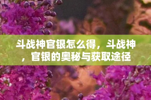 斗战神官银怎么得,斗战神,官银的奥秘与获取途径 斗战神官银怎么得,斗战神,官银的奥秘与获取途径