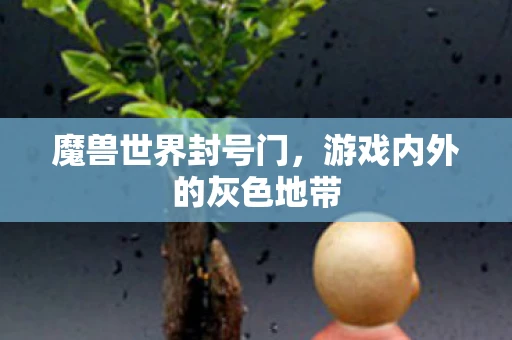 魔兽世界封号门，游戏内外的灰色地带