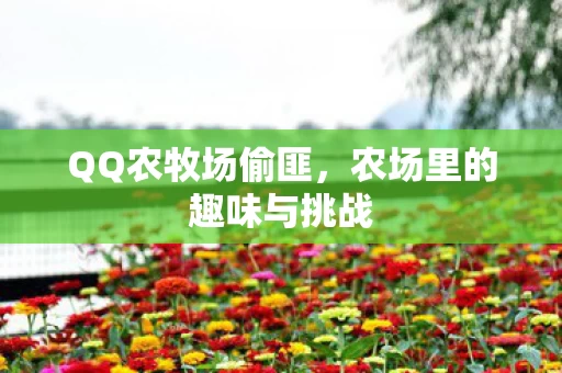 农场里的趣味与挑战图片