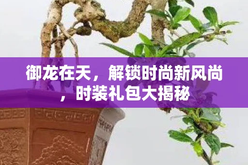 御龙在天，解锁时尚新风尚，时装礼包大揭秘