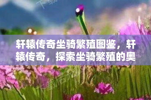 轩辕传奇坐骑繁殖图鉴，轩辕传奇，探索坐骑繁殖的奥秘