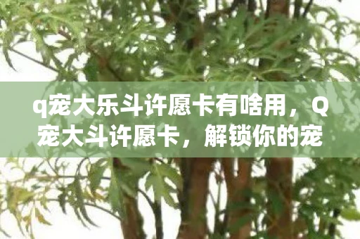 q宠大乐斗许愿卡有啥用，Q宠大斗许愿卡，解锁你的宠物无限可能
