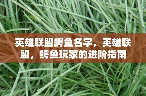 英雄联盟鳄鱼名字，英雄联盟，鳄鱼玩家的进阶指南