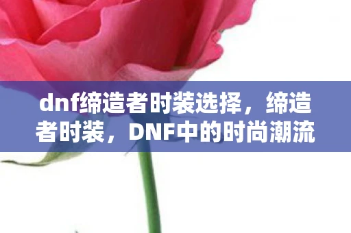dnf缔造者时装选择，缔造者时装，DNF中的时尚潮流