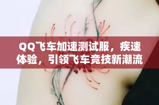 QQ飞车加速测试服图片