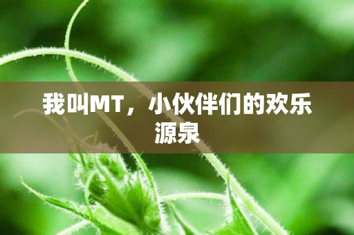 我叫MT，小伙伴们的欢乐源泉