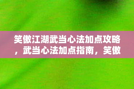 笑傲江湖武当心法加点攻略，武当心法加点指南，笑傲江湖中的武学奥秘