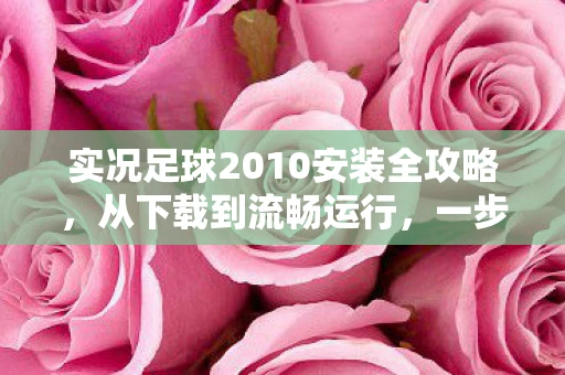 实况足球2010安装全攻略，从下载到流畅运行，一步不落！