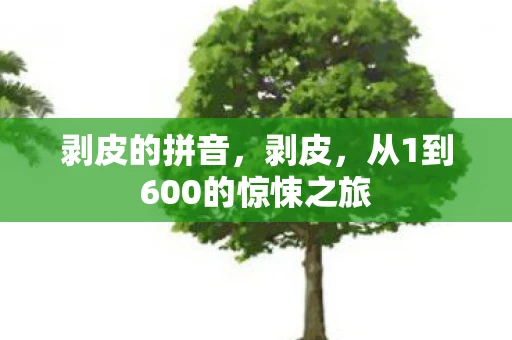 剥皮的拼音，剥皮，从1到600的惊悚之旅