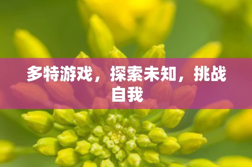多特游戏，探索未知，挑战自我