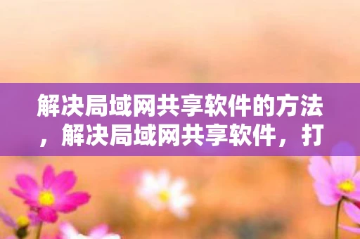 解决局域网共享软件的方法，解决局域网共享软件，打造高效协作的办公环境