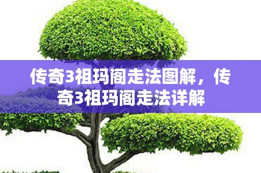 传奇3祖玛阁走法图解，传奇3祖玛阁走法详解