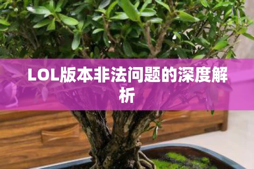 LOL版本非法问题的深度解析图片