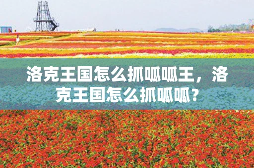 洛克王国怎么抓呱呱王，洛克王国怎么抓呱呱？