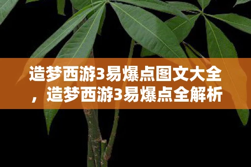 造梦西游3易爆点图文大全，造梦西游3易爆点全解析，解锁隐藏福利，提升游戏乐趣