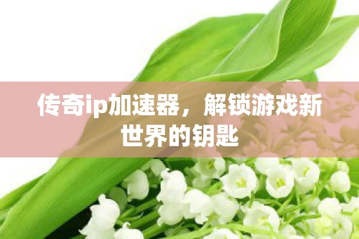 传奇ip加速器，解锁游戏新世界的钥匙