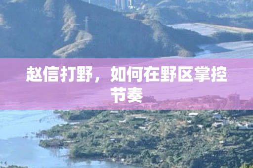 赵信打野，如何在野区掌控节奏