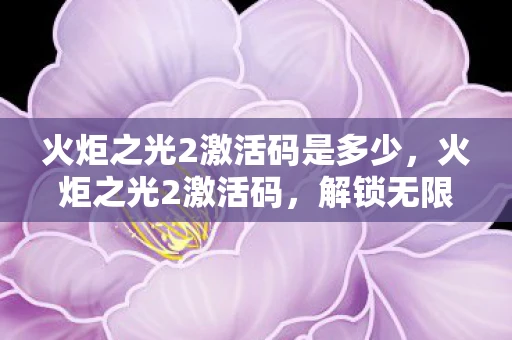 火炬之光2激活码是多少，火炬之光2激活码，解锁无限可能的冒险之旅