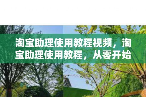 淘宝助理使用教程视频，淘宝助理使用教程，从零开始打造高效店铺管理