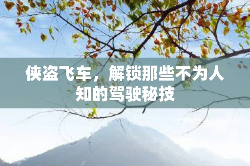 侠盗飞车，解锁那些不为人知的驾驶秘技