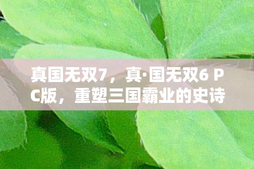 真国无双7，真·国无双6 PC版，重塑三国霸业的史诗巨作