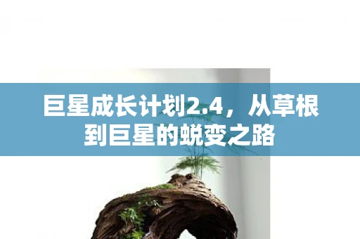 巨星成长计划2.4，从草根到巨星的蜕变之路