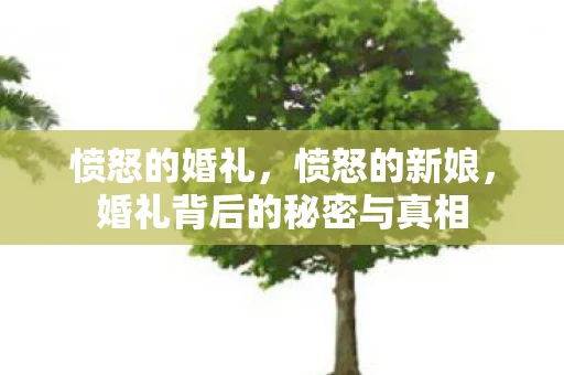愤怒的婚礼，愤怒的新娘，婚礼背后的秘密与真相
