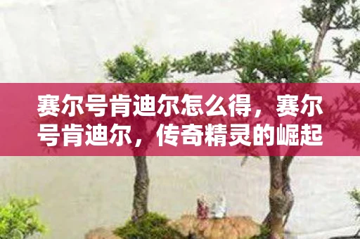 赛尔号肯迪尔怎么得，赛尔号肯迪尔，传奇精灵的崛起