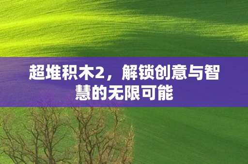 超堆积木2，解锁创意与智慧的无限可能