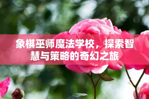 象棋巫师魔法学校，探索智慧与策略的奇幻之旅