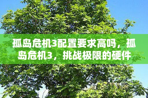 孤岛危机3配置要求高吗，孤岛危机3，挑战极限的硬件配置