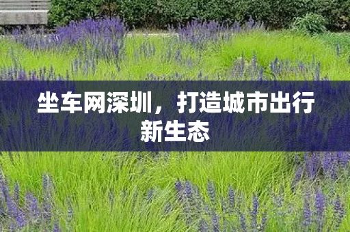 坐车网深圳，打造城市出行新生态
