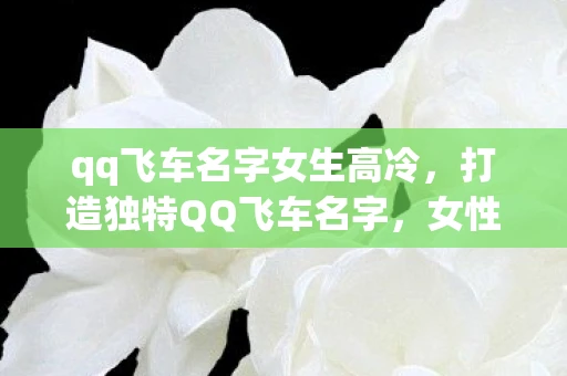 qq飞车名字女生高冷，打造独特QQ飞车名字，女性玩家的专属选择