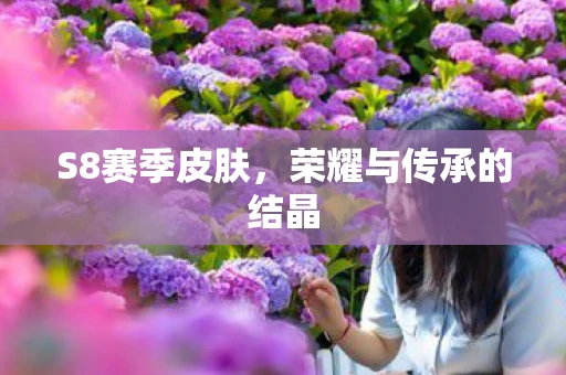 S8赛季皮肤，荣耀与传承的结晶