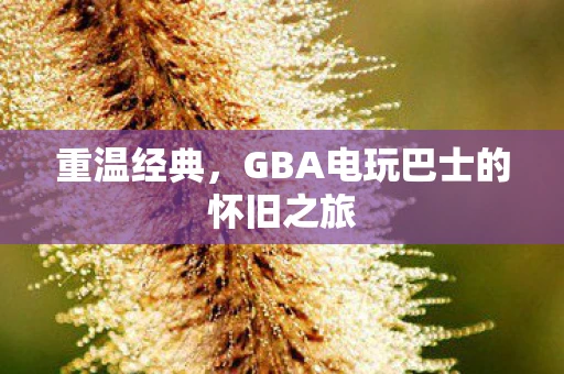 重温经典，GBA电玩巴士的怀旧之旅
